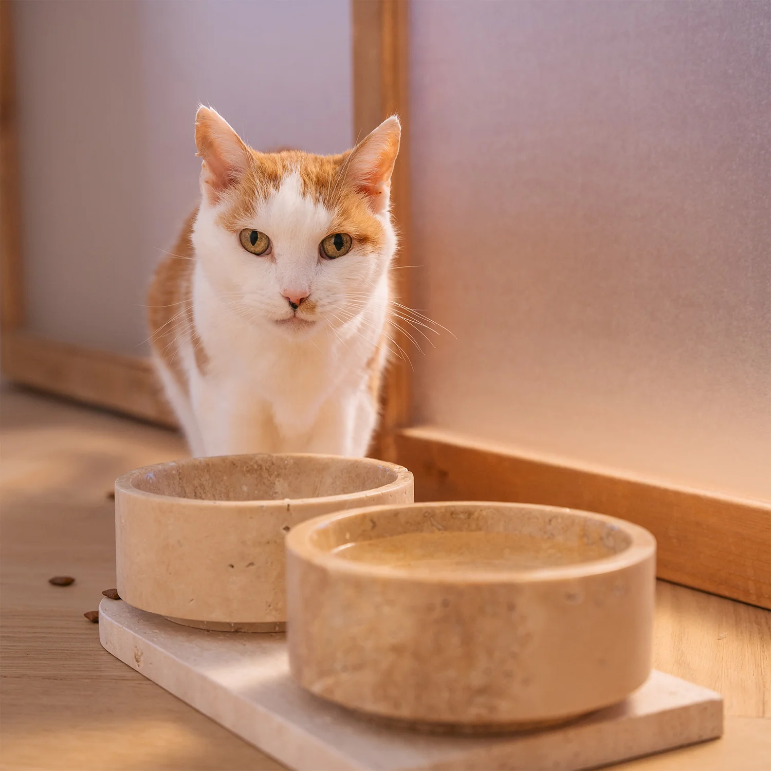 TRAVERTINE PET BOWL SET - Image 6