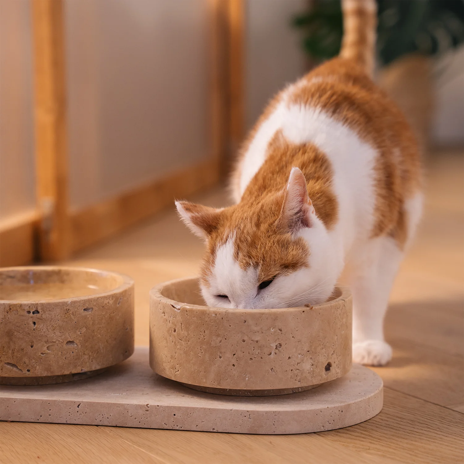 TRAVERTINE PET BOWL SET - Image 7