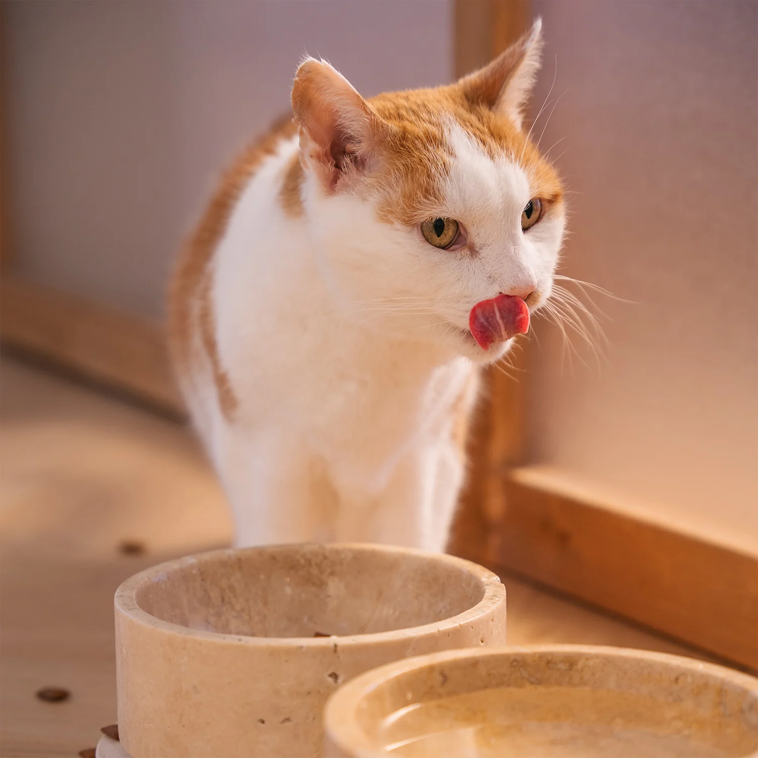 TRAVERTINE PET BOWL SET - Image 9